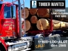 WASHINGTON LOGGING COMPANY- LAND CLEARING 1-800-LOG-ALOT Buying Timber Logs