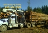 WANTED TO HIRE- LOG TRUCK DRIVER- PART-TIME JOB Timber Logging Industry Western Washington