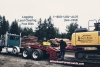 TIMBER LOGGING TREES PACIFIC NORTHWEST LOGGERS, Seattle, Tacoma, King, Snohomish, Kitsap